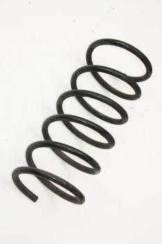 Feder vorn links 546300X100 Hyundai i10 1