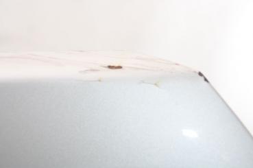 Preview: Motorhaube 5074140AF Dodge CALIBER