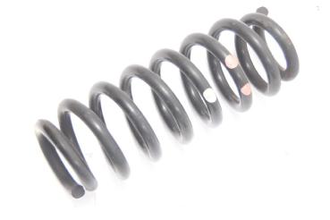 Feder hinten rechts 4131165J00 Suzuki GRAND VITARA 2