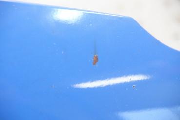 Preview: Motorhaube 6QE823031B VW POLO 4 9N