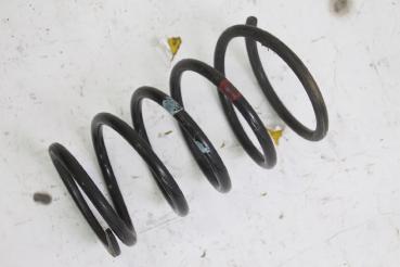 Feder hinten rechts 550208H762 Nissan X-TRAIL 1