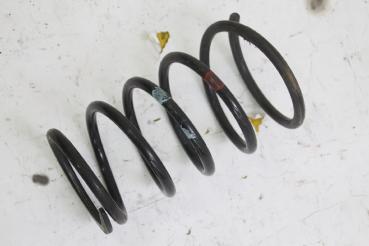 Feder hinten links 550208H762 Nissan X-TRAIL 1