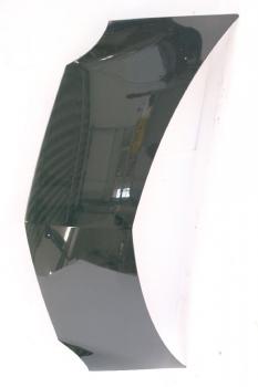 Preview: Motorhaube 7751475521 Renault MODUS