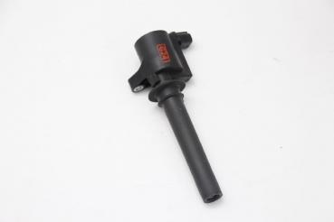 Zündspule Zylinder 2 1L8E12A366AC Ford MAVERICK 2