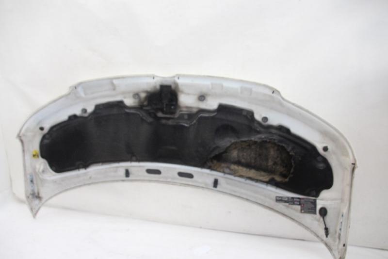 Preview: Motorhaube 7H0823033D VW T5 BUS