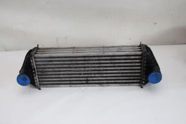 Ladeluftkühler 4999282 Ford TRANSIT CONNECT