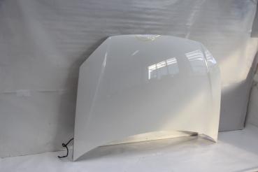 Motorhaube 6Q0823031J VW POLO 4 9N