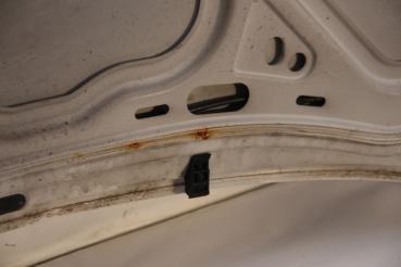 Motorhaube 6Q0823031J VW POLO 4 9N