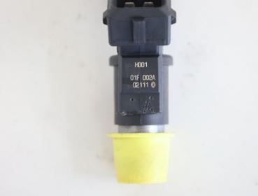 Preview: Einspritzventil 01F002A Citroen C2 JM