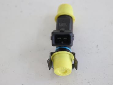 Preview: Einspritzventil 01F002A Citroen C2 JM