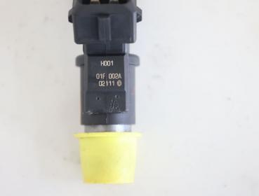 Preview: Einspritzventil 01F002A Citroen C2 JM