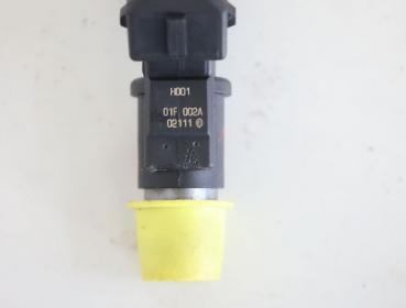 Preview: Einspritzventil 01F002A Citroen C2 JM