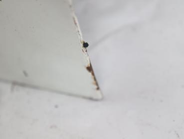 Preview: Tür vorn rechts 7D0831056C VW T4 Bus