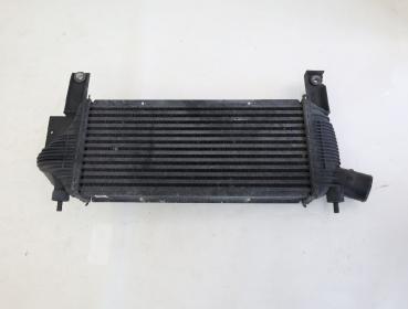 Preview: Ladeluftkühler 14461EB360 Nissan PATHFINDER R51