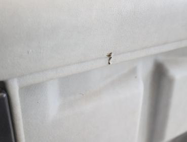 Preview: Türverkleidung innen 703867039 VW T4 Bus