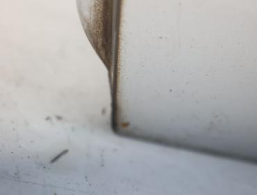 Preview: Tür hinten links 2197300105 Mercedes CLS C219