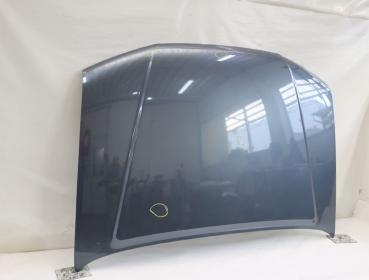 Motorhaube 65100EB330 Nissan PATHFINDER R51