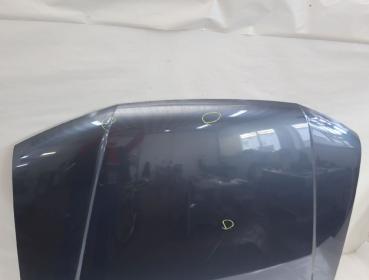 Preview: Motorhaube 65100EB330 Nissan PATHFINDER R51