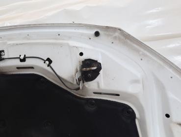 Preview: Motorhaube 7204514 BMW 7er F01