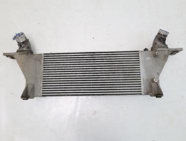 Ladeluftkühler 144615X20A Nissan NAVARA D40