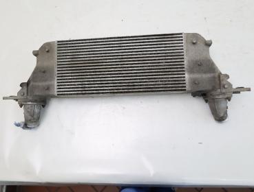 Ladeluftkühler 144615X20A Nissan NAVARA D40