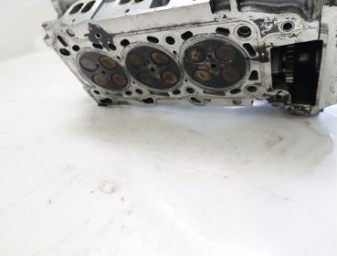 Zylinderkopf 1109100QAA Nissan NAVARA D40
