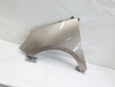 Kotflügel vorn links 631010075R Renault SCENIC 3 JZ