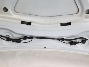 Motorhaube 1815874 Ford GRAND C-MAX