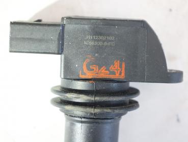 Preview: Zündspule Zylinder 5 94860210421 Porsche CAYENNE 9PA
