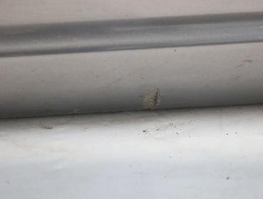 Preview: Tür vorn links 5N0831055B VW TIGUAN 1