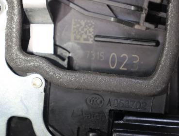 Preview: Türschloß hinten links 7315023 BMW X6 E71