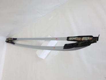 Dachreling 2465300 Ford KUGA 2 DM2
