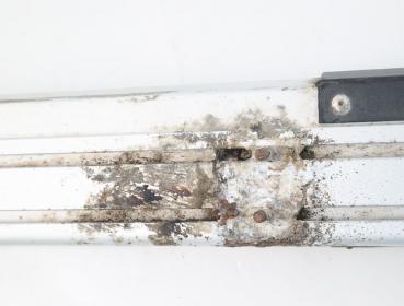 Preview: Trittbrett Suzuki GRAND VITARA 2