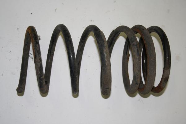 Feder hinten links LR019981 Land Rover FREELANDER 1 LN