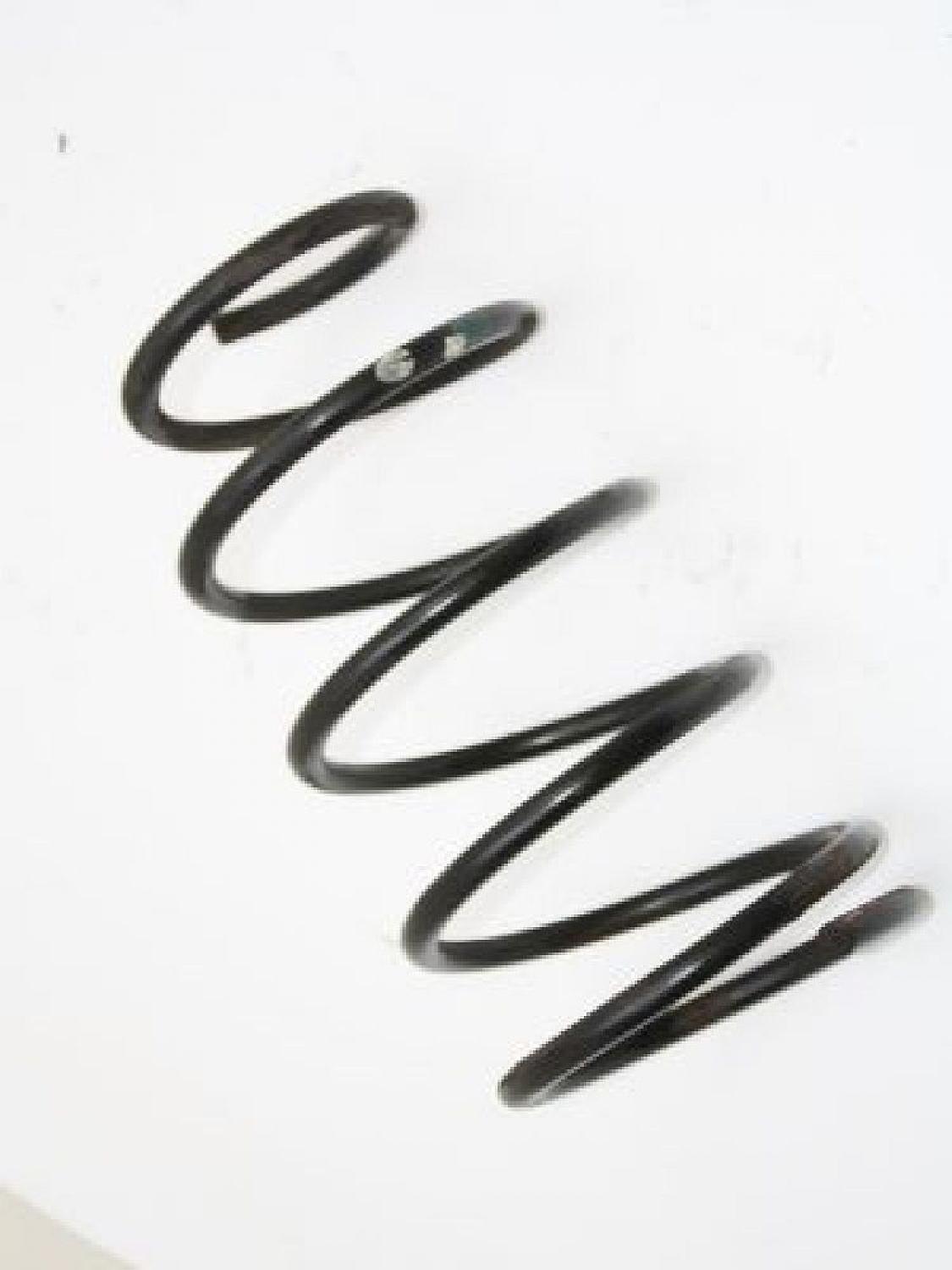 Feder vorn links Land Rover FREELANDER 1 LN