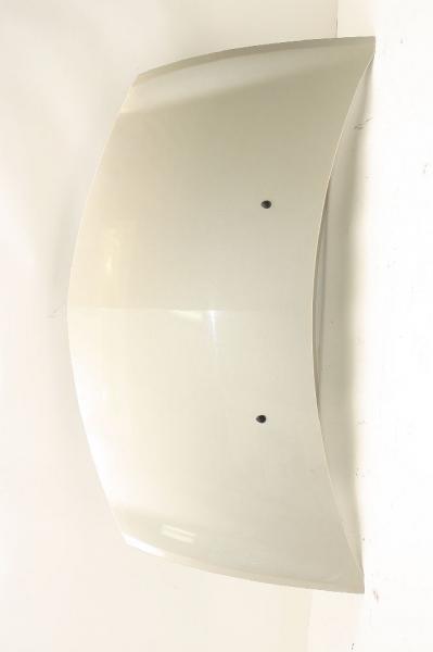 Motorhaube 7751476113 Renault CLIO 3