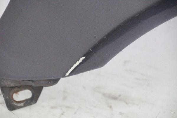 Kotflügel vorn links 1688800718 Mercedes A-KLASSE W168