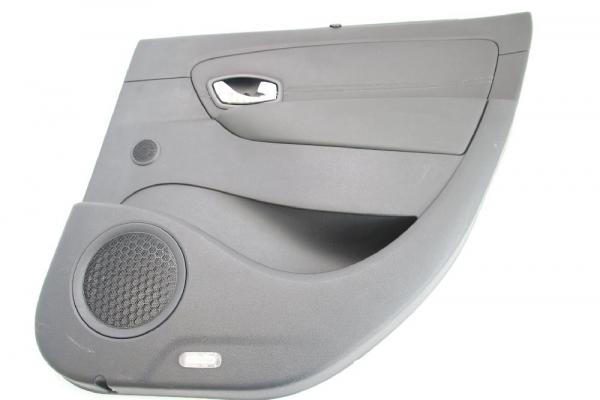 Türverkleidung innen 531140151 Renault SCENIC 3 JZ