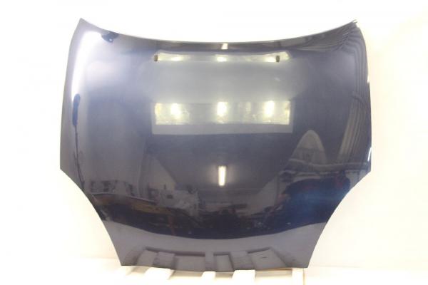 Motorhaube 1038113 Ford PUMA ECT