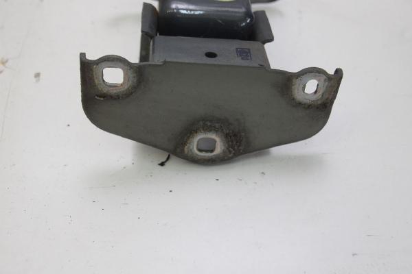 Türscharnier 7700311772 Renault TRAFIC 2 Kasten