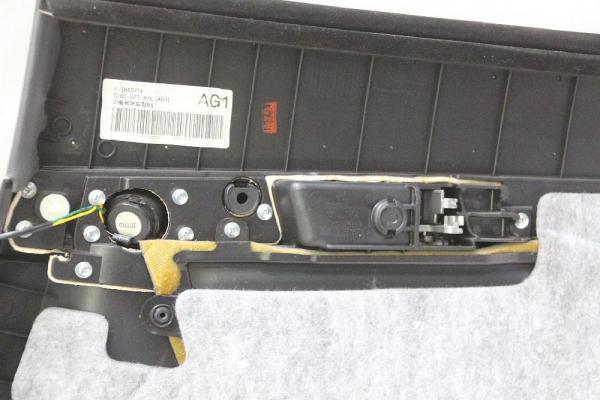 Türverkleidung innen 96860714 Chevrolet CAPTIVA