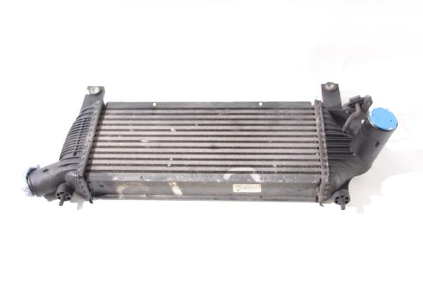 Ladeluftkühler 14461EB360 Nissan PATHFINDER R51