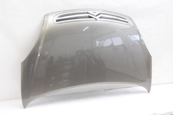 Motorhaube 7901L0 Citroen XSARA Picasso