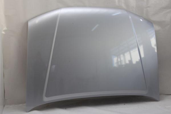 Motorhaube 65100EB330 Nissan PATHFINDER R51