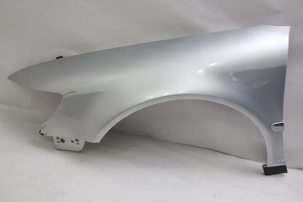 Kotflügel vorn links 3D0821021J VW PHAETON 3D