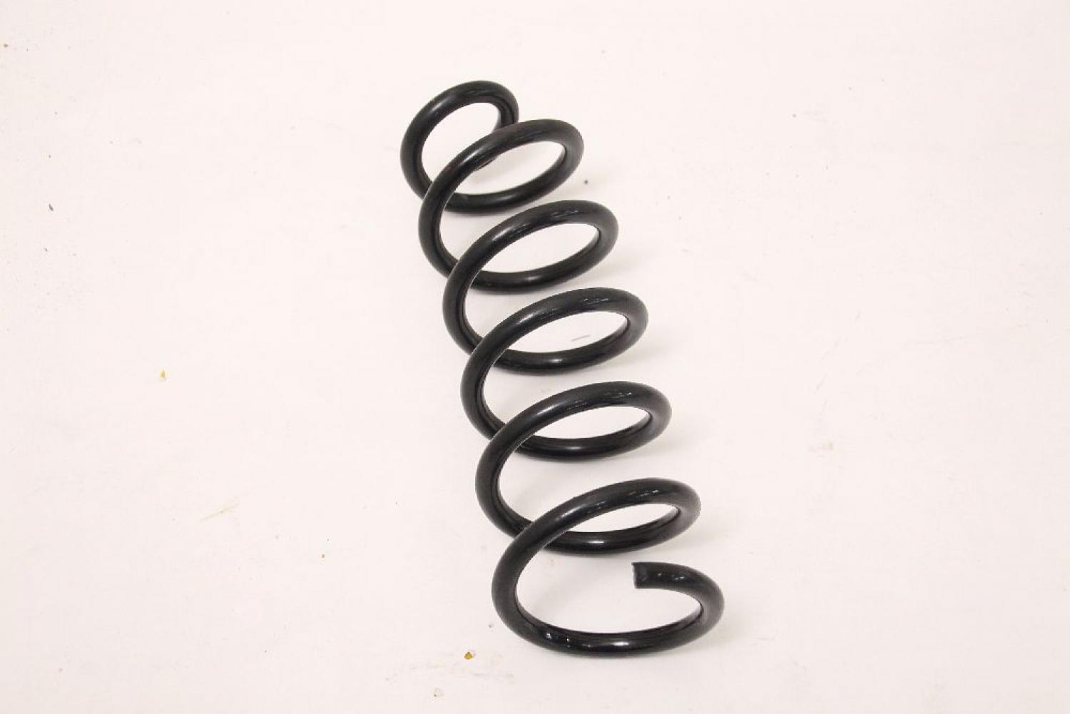 Feder hinten links 550202497R DACIA SANDERO 2