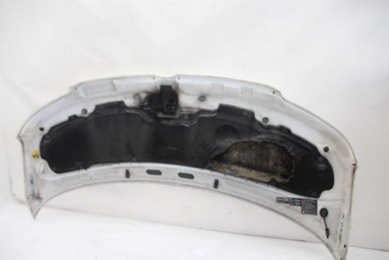 Motorhaube 7H0823033D VW T5 BUS