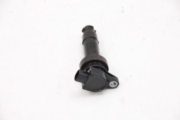 Zündspule Zylinder 1 273012B010 Kia CEED 1 SW ED