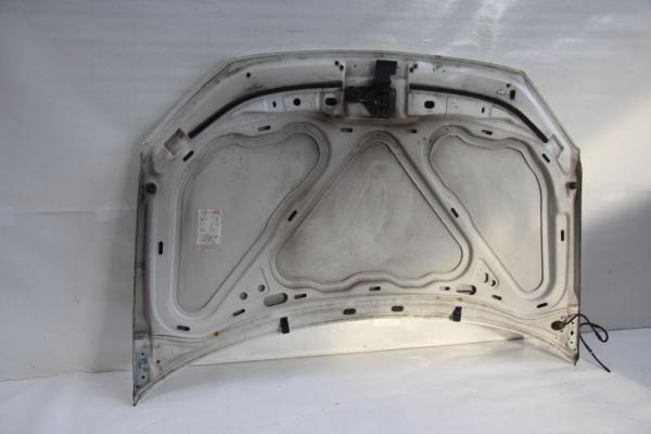 Motorhaube 6Q0823031J VW POLO 4 9N