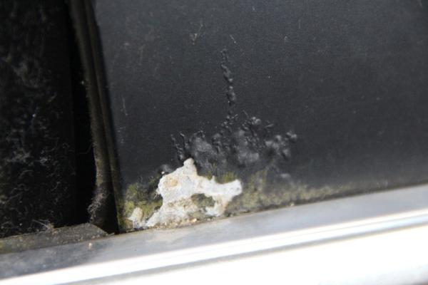 Tür hinten rechts 41525A2A368 BMW 5er Touring E61